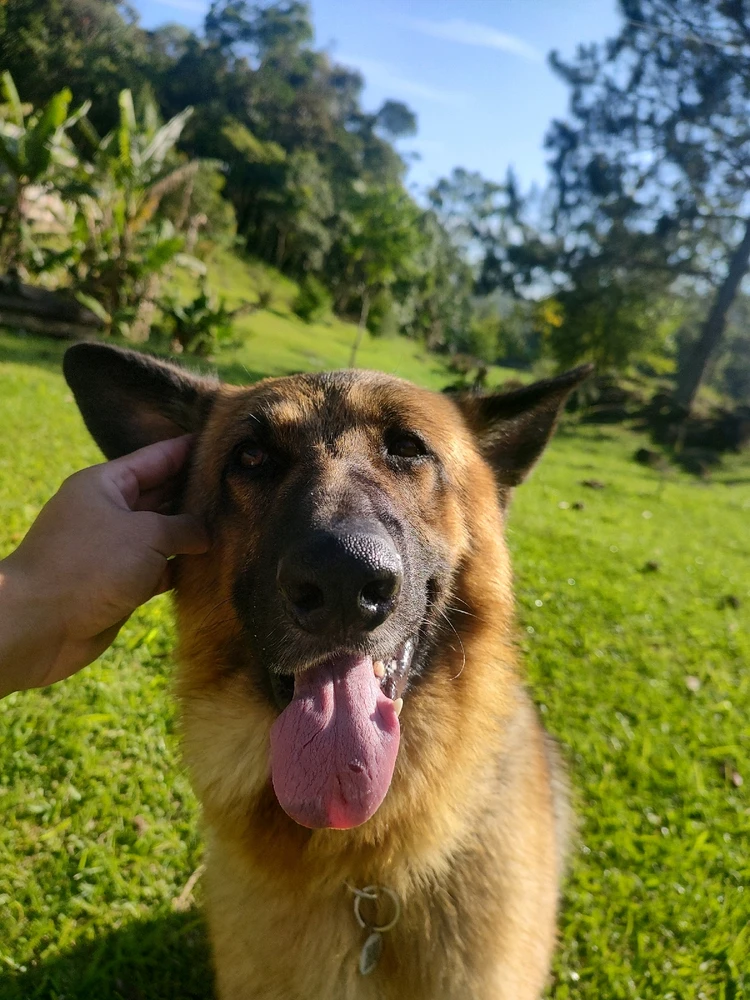 GIF enviado por Pablo Medeiros