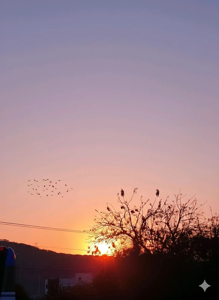 GIF uploaded by Pilar