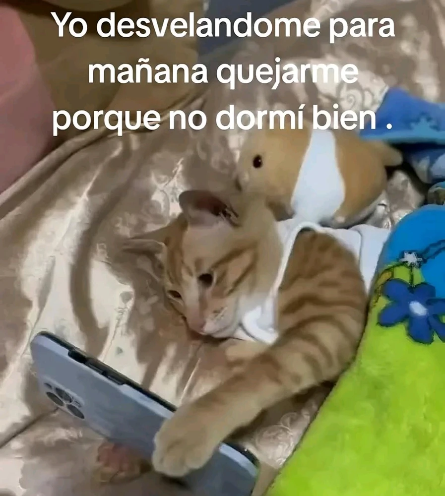 GIF subido por Eduardo