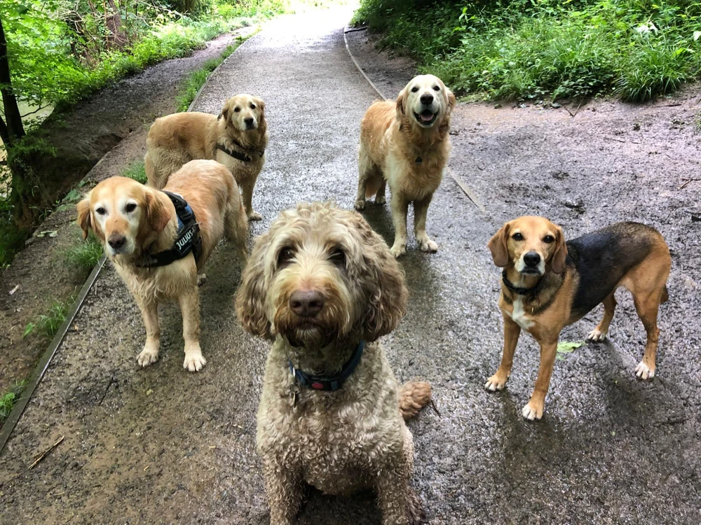 GIF uploaded by Ryan