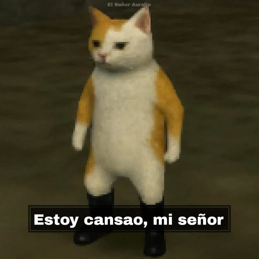 Imagen subida por Ani