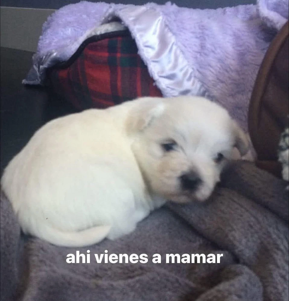 Imagen subida por Ani