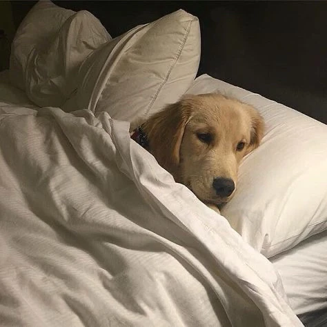 Imagen subida por Ani