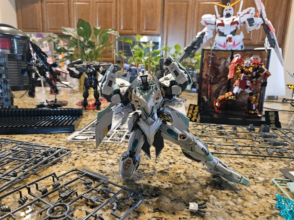 Image uploaded by Joseph