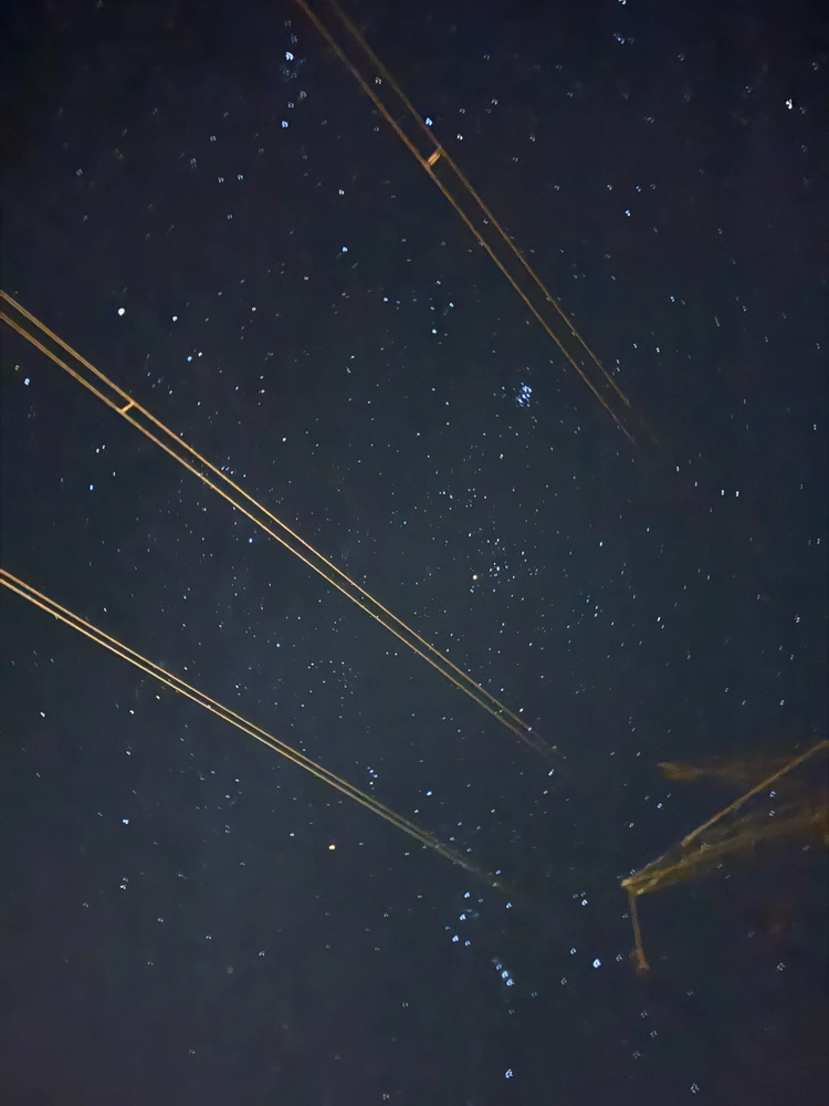 GIF uploaded by Zina