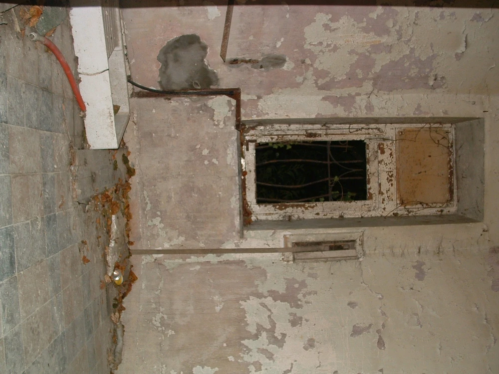 Image uploaded by Shurendi