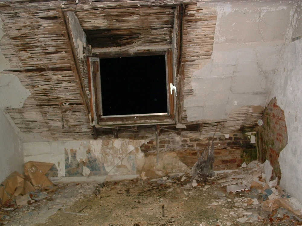 Image uploaded by Shurendi