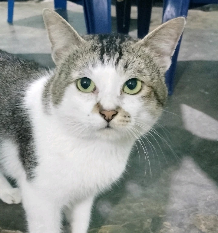 Image uploaded by Claire