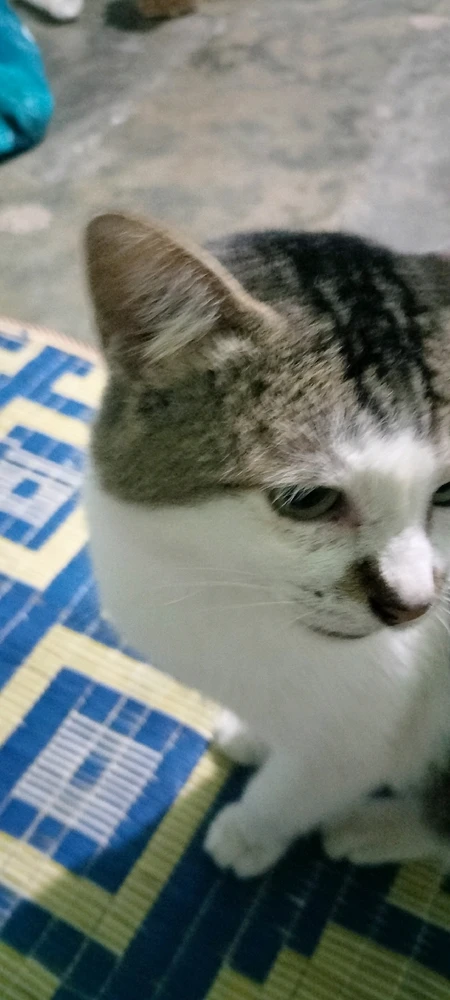 Image uploaded by Claire