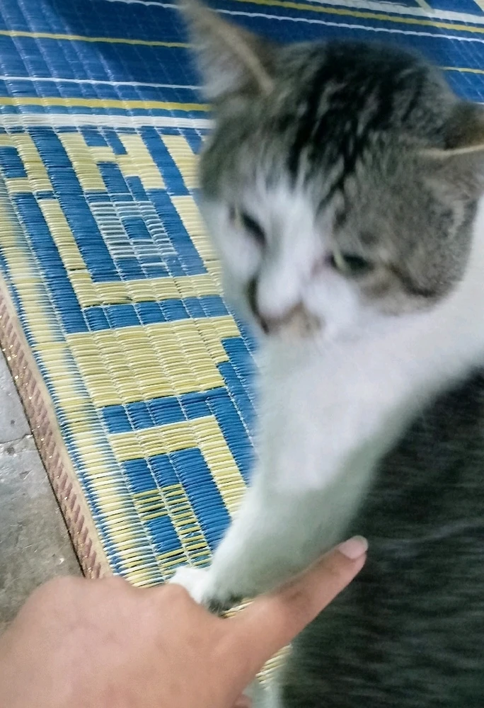 Image uploaded by Claire