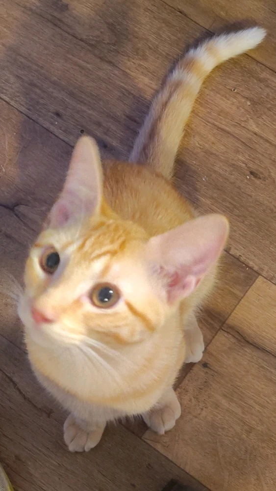 GIF diunggah dening Dylan