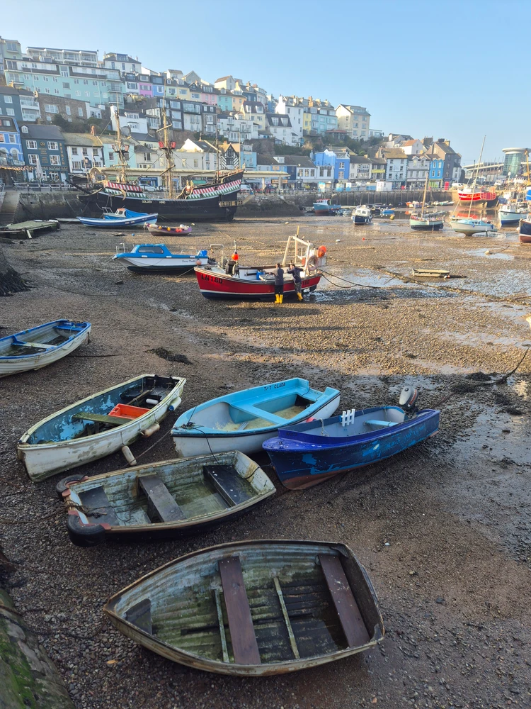 Image uploaded by Chris