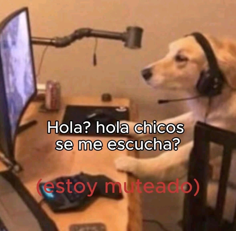 Image uploaded by ori