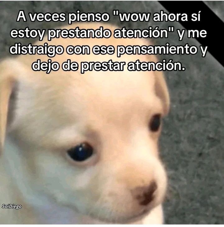 GIF subido por Melina