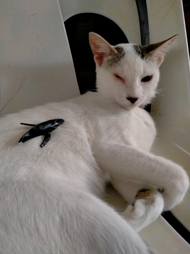 Image uploaded by Juuunneeeyy