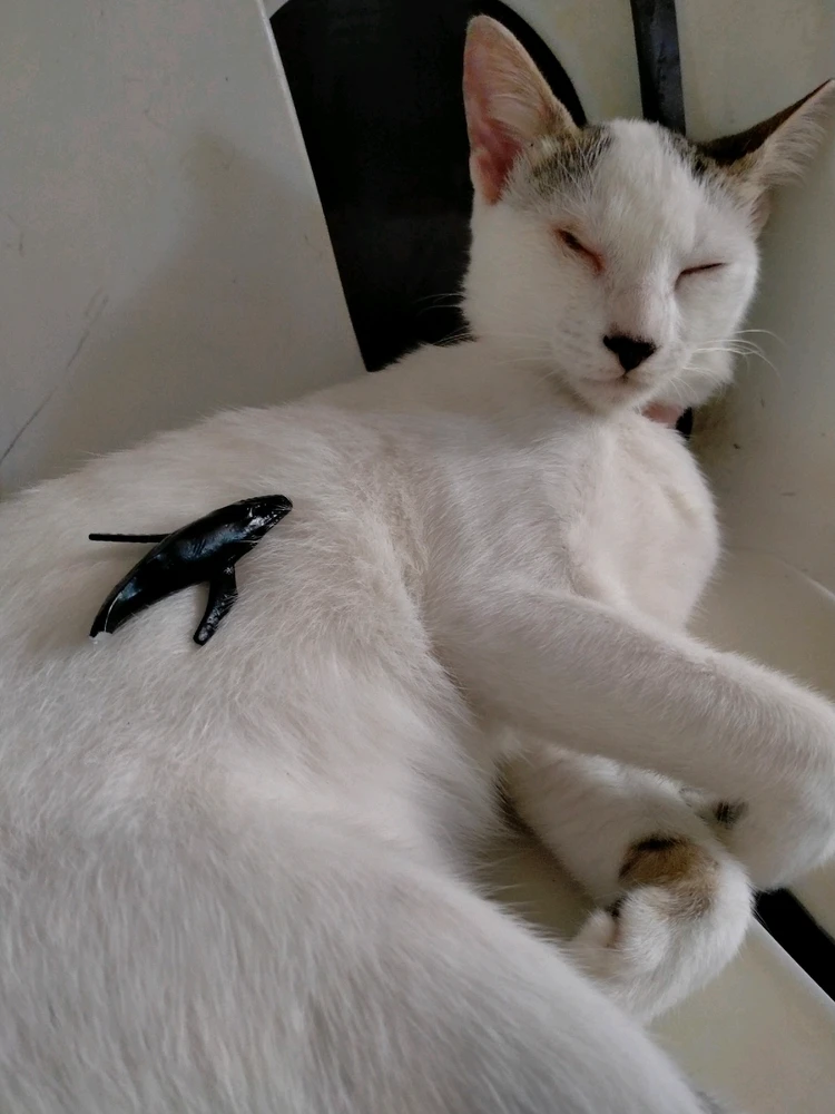 Image uploaded by Juuunneeeyy