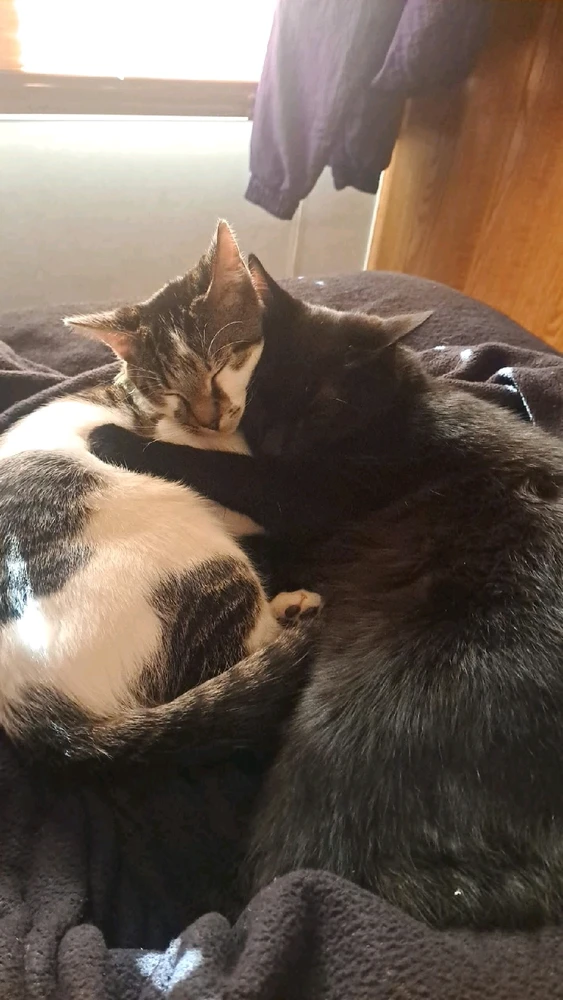 Image uploaded by Ovi