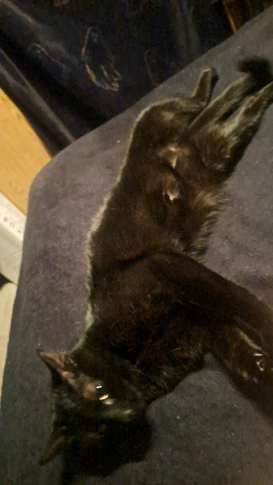 Image uploaded by Ovi