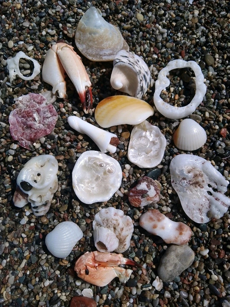 GIF diunggah dening Thomas Anderson