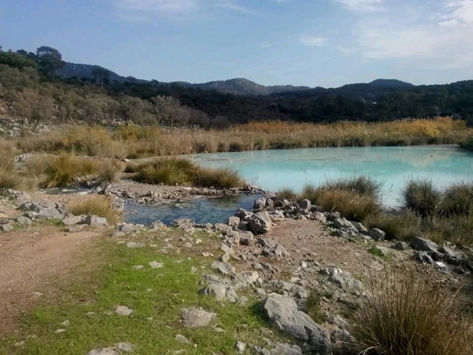 GIF hochgeladen von Thomas Anderson