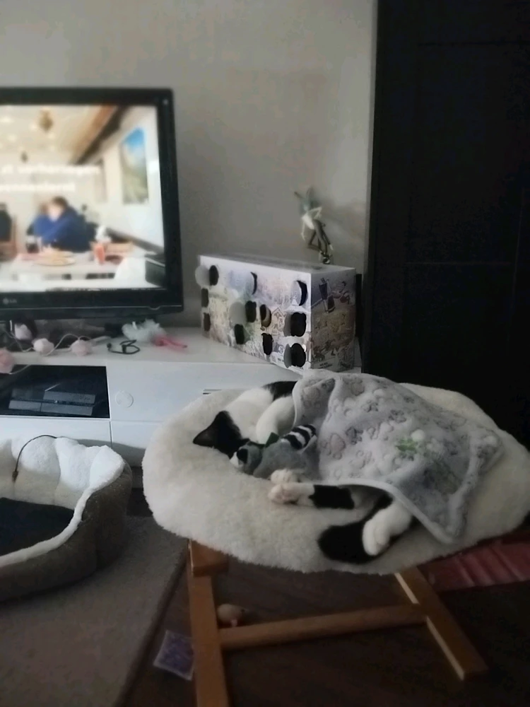 GIF hochgeladen von Sarah đŠ