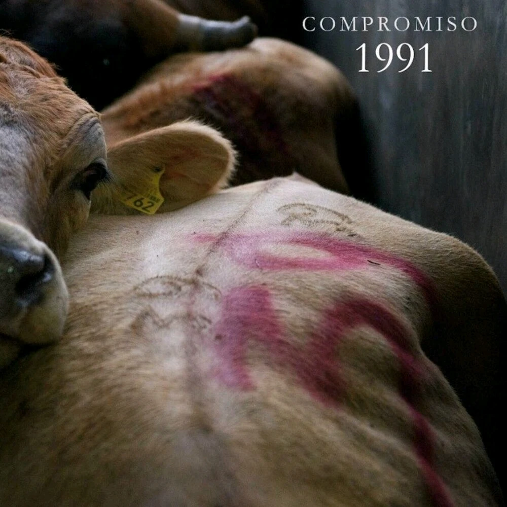 GIF subido por Juan Carlos