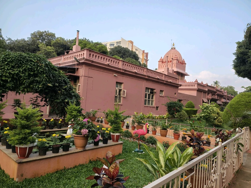 Image uploaded by Hannah