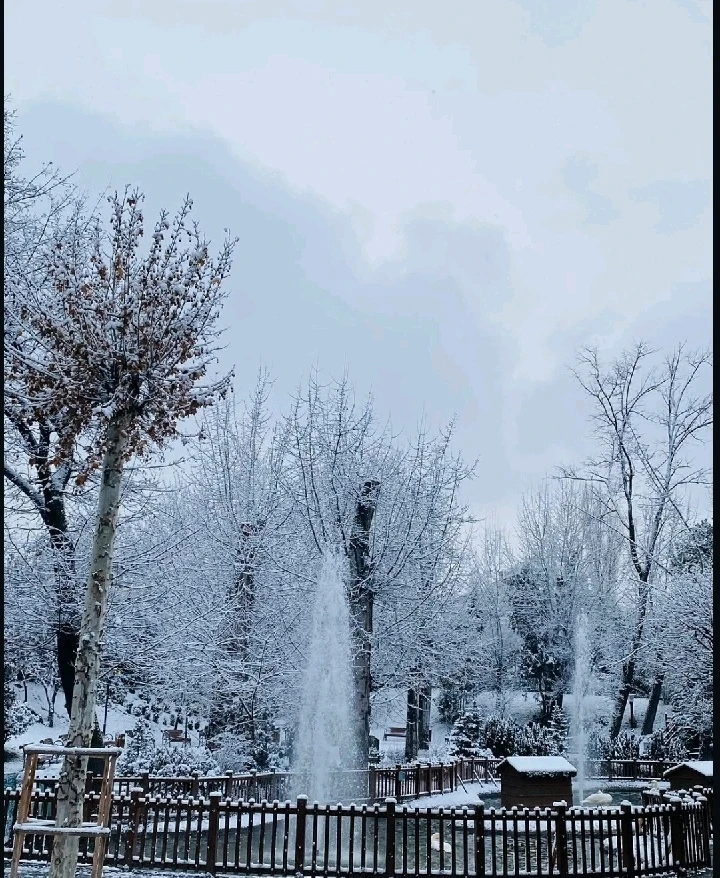 Image uploaded by Abderrhman