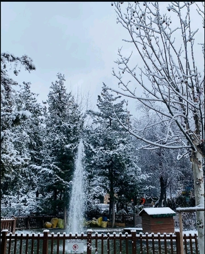 Image uploaded by Abderrhman