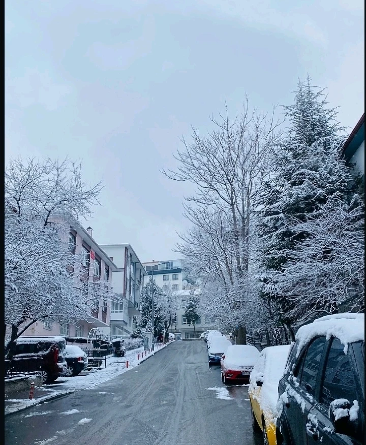 Image uploaded by Abderrhman