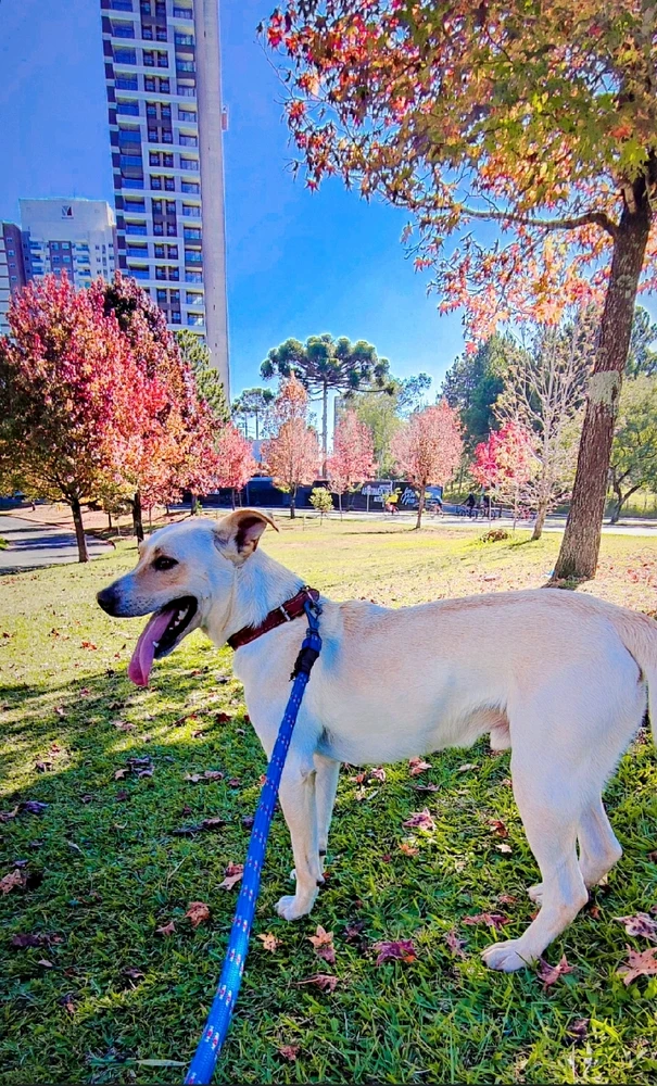 GIF enviado por Bochenek Rodrigo