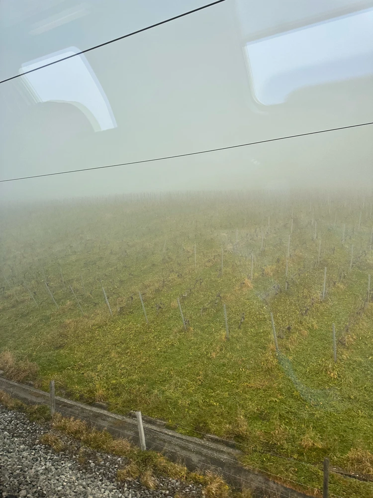 Image uploaded by Gladys