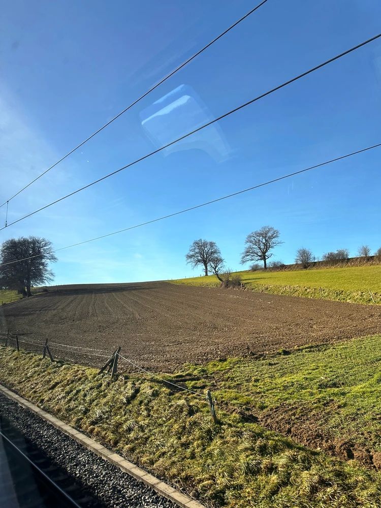 Image uploaded by Gladys