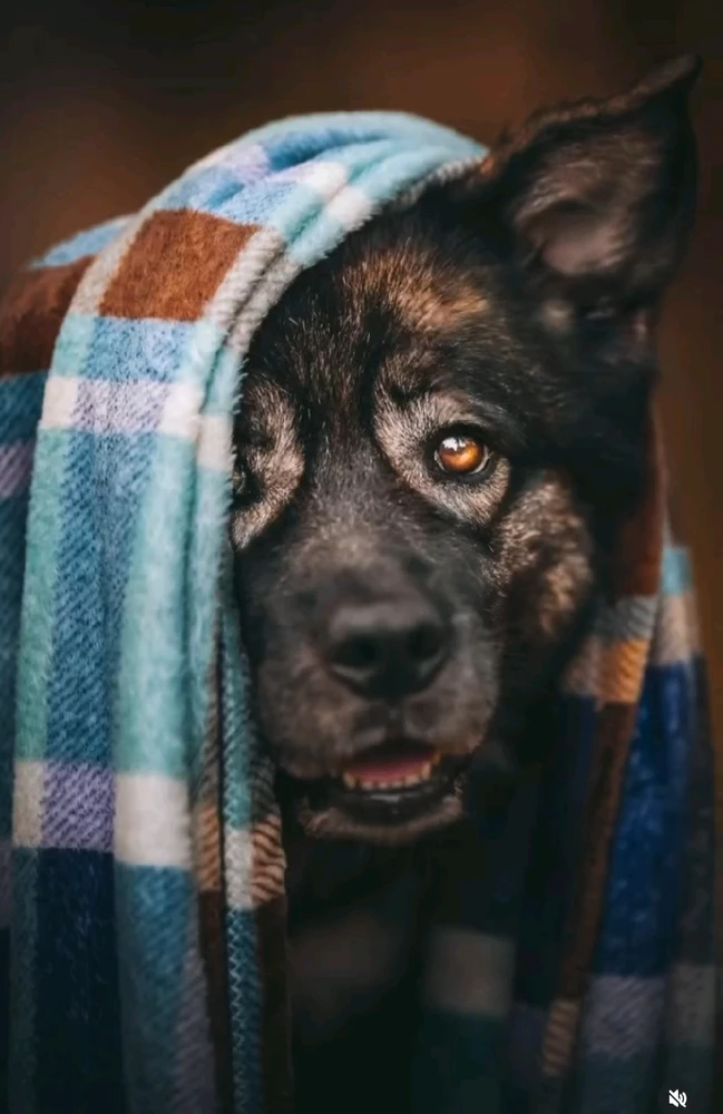 Image uploaded by 🔆🥨🔅Koffy🔅🌰🔆