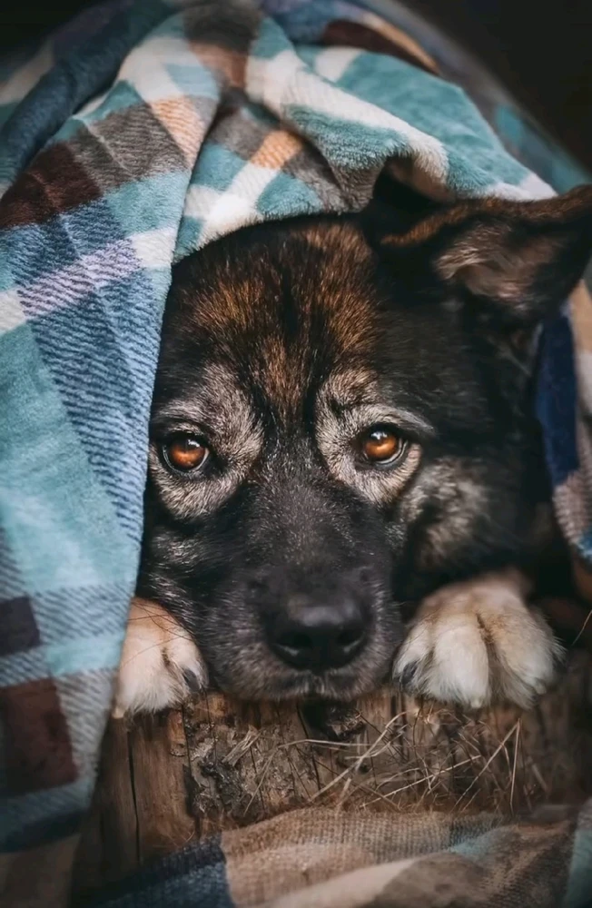 Image uploaded by 🔆🥨🔅Koffy🔅🌰🔆