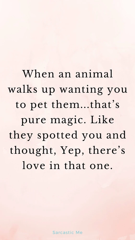 GIF uploaded by Allison