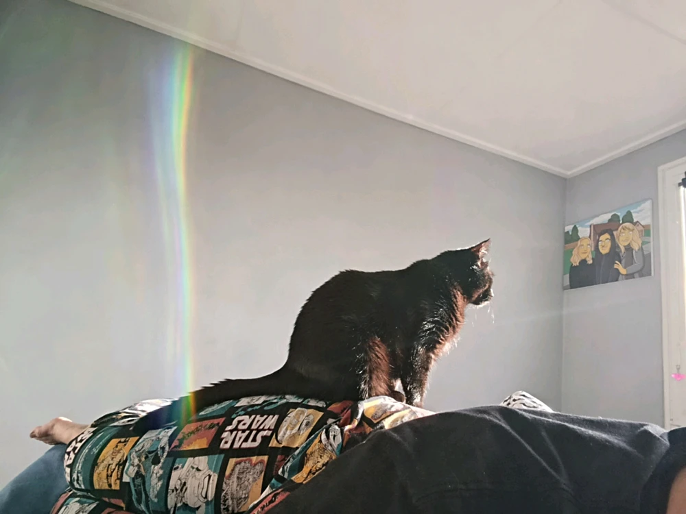 GIF nahrál ⭕⭕ Hlubina