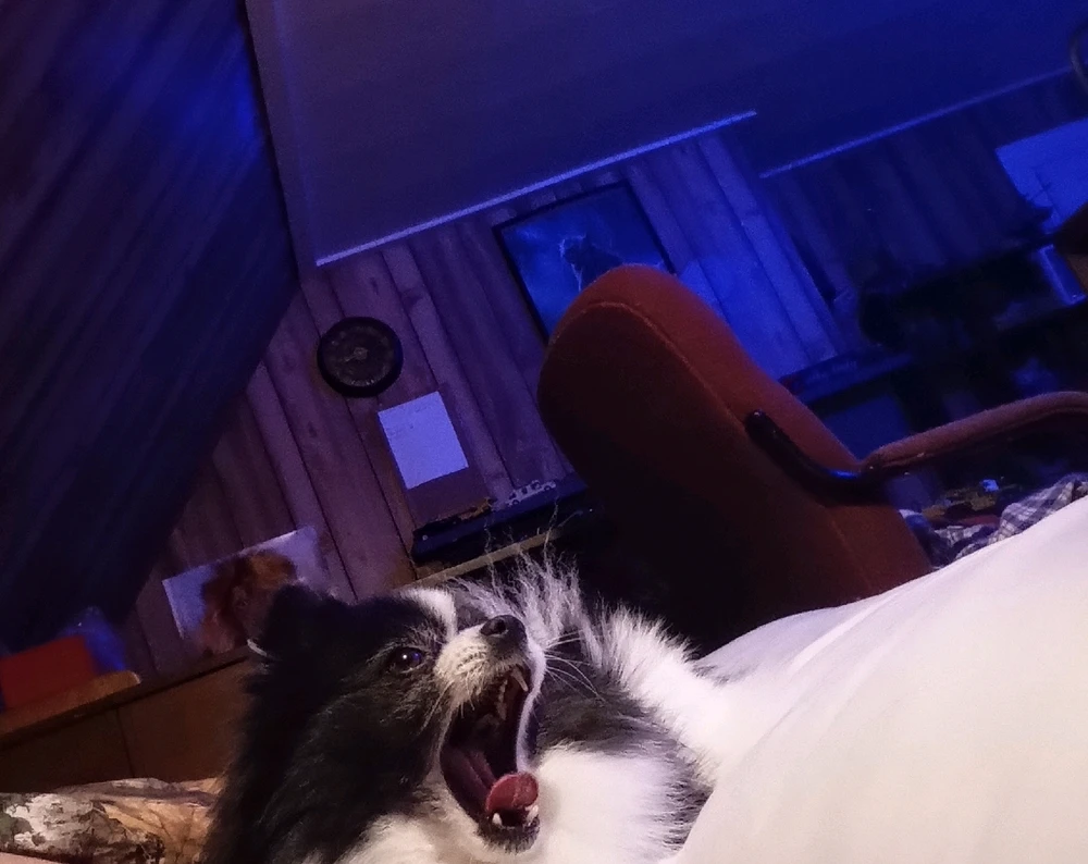 GIF diunggah dening Nick