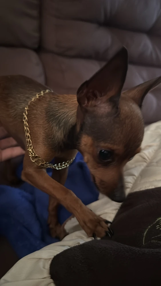 GIF enviado por Gabriel