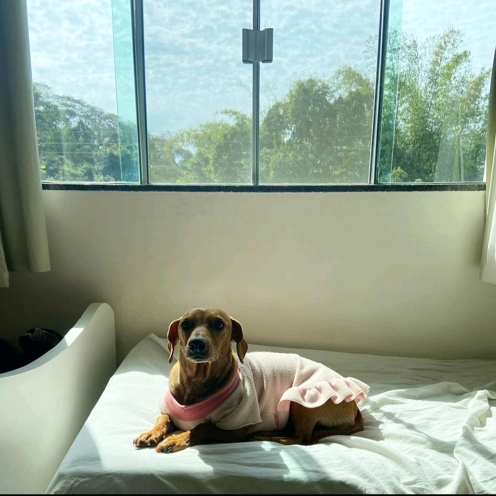 GIF diunggah dening André