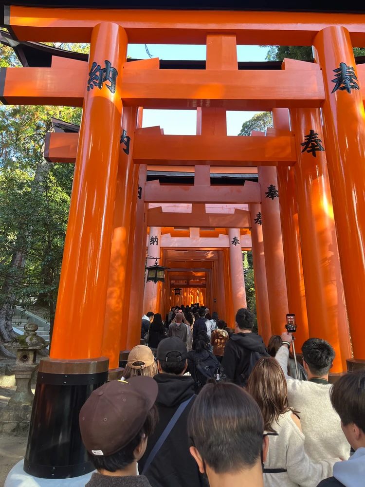 Image uploaded by Aldon