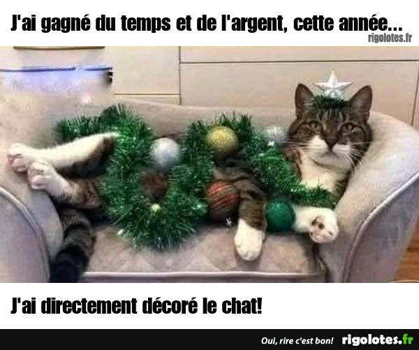 GIF ajouté par Cyrill