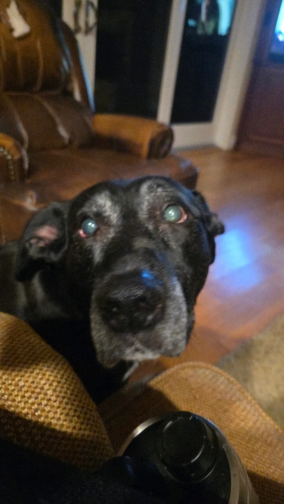 Image uploaded by Derek