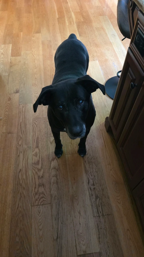 Image uploaded by Derek