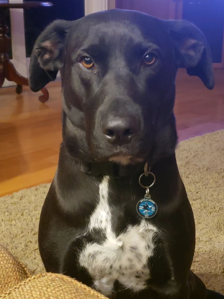 Image uploaded by Derek