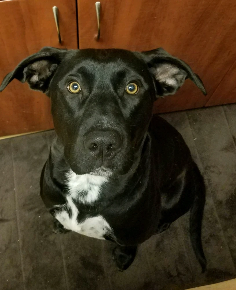 Image uploaded by Derek