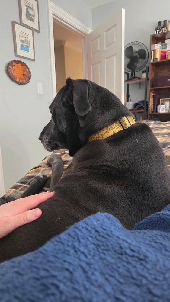 Image uploaded by Derek