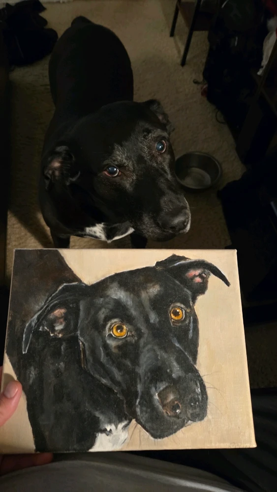 Image uploaded by Derek