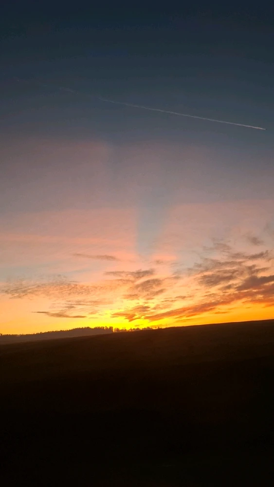 Bild hochgeladen von Theresa