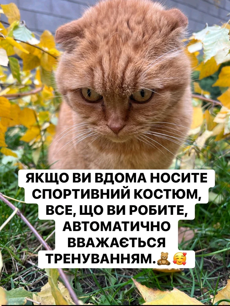 Гіфку завантажив Anatoliy